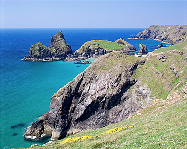 Mullion Cove, Cornwall, England, United Kingdom, Europe