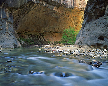 The Virgin River flows beneath overhanging cliff in the Zion National Park in Utah, United States of America, North America