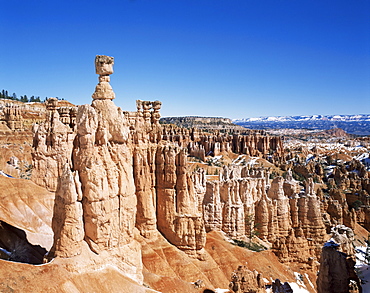 Bryce Canyon, Utah, United States of America, North America