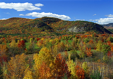 Aerial view over woodland and rolling hills in fall colours, White Mountain National Park, New Hampshire, New England, United States of America, North America