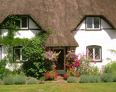 Thatched cottage with hanging baskets full of summer flowers in Dorset, England, United Kingdom, Europe