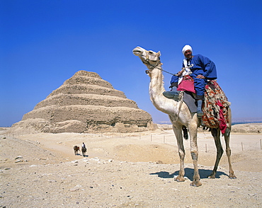 Guide on camel in front of the Step Pyramid of the pharaoh Zoser at Saqqara (Sakkara), UNESCO World Heritage Site, Egypt, North Africa, Africa