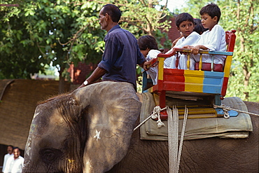 Elephant ride at the zoo, Lahore, Pakistan, Asia