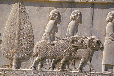 Carved reliefs of rams from Asia Minor on the Apadana palace staircase, Persepolis, UNESCO World Heritage Site, Iran, Middle East