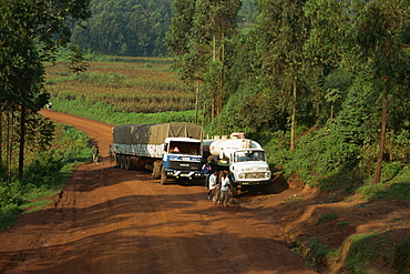 World Food Program truck in transit from Rwanda, near Kisoro, Uganda, East Africa, Africa