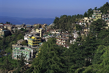 Mcleod Ganj, India, Asia