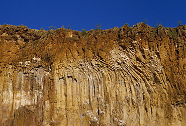 Cliff detail, Hells Gate, Kenya, East Africa, Africa