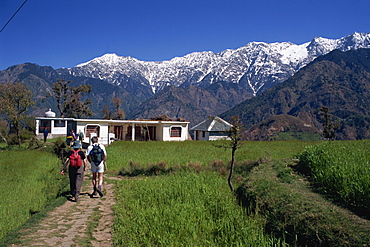 Trekkers, Dhaula Dhar range, western Himalayas, India, Asia