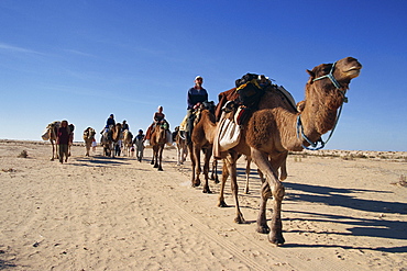 Tourists on camel trek, near Douz, Sahara desert, Tunisia, North Africa, Africa