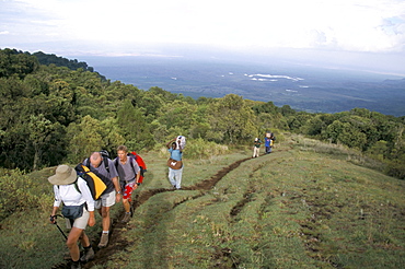 Trekkers beginning trek up Mount Meru, Arusha National Park, Tanzania, East Africa, Africa