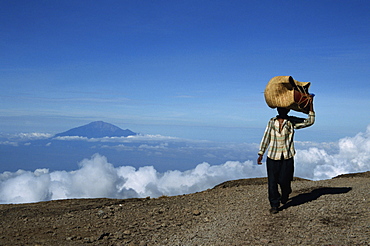 Porter with Mount Meru in background, Kilimanjaro National Park, Tanzania, East Africa, Africa