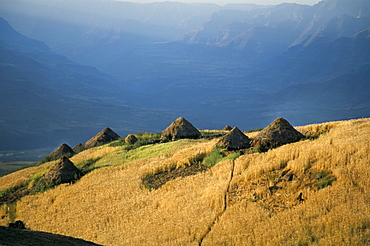 Debirichwa village in early morning, Simien Mountains National Park, UNESCO World Heritage Site, Ethiopia, Africa