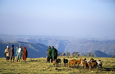 Shepherds at Geech Camp, Simien Mountains National Park, UNESCO World Heritage Site, Ethiopia, Africa