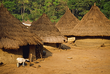 Village scene, Ivory Coast, West Africa, Africa