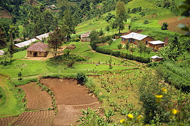 Aerial view of children leaving school and terraced fields, Kabale, Uganda, Africa