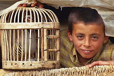 Gypsy boy and caged bird, near Pitara, south west area, Anatolia, Turkey, Asia Minor, Eurasia