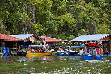 Mangrove safari boats stop for tourists to visit a fish farm and handle horseshoe crabs, Langkawi, Malaysia, Southeast Asia, Asia