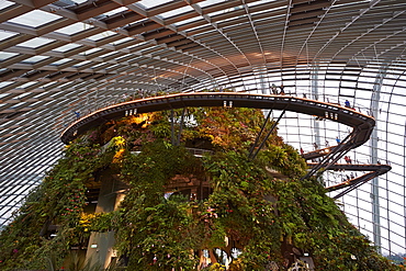 Inside the Cloud Forest biosphere at Gardens by the Bay, Singapore, Southeast Asia, Asia