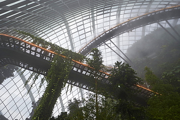 Inside the Cloud Forest biosphere at Gardens by the Bay, Singapore, Southeast Asia, Asia