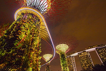 Garden Rhapsody music and lights show in the Supertrees at Gardens by the Bay, Singapore, Malaysia, Southeast Asia, Asia