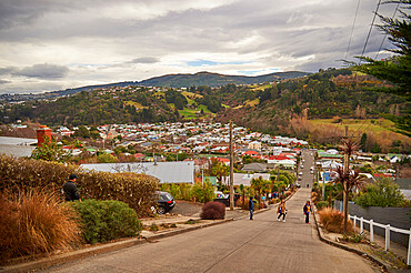 Tourists at Baldwin Street, the world's steepest residential road with an average gradient of 1 in 5 and 350 metres long, Dunedin, Otago, South Island, New Zealand, Pacific