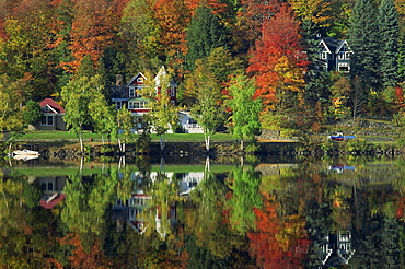 Lakeside houses and fall foliage, Saranac, Adirondack, New York State, United States of America, North America