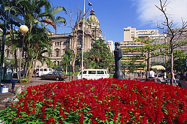 Bright flowers before the City Hall, Durban, Natal, South Africa,Africa