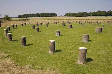 Woodhenge, showing circular design, Amesbury, Wiltshire, England, United Kingdom, Europe