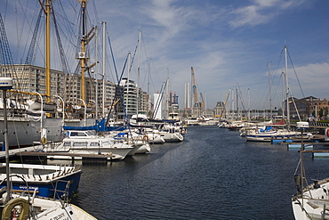 Mercator Marina with many moored boats, Ostend, Belgium, Europe