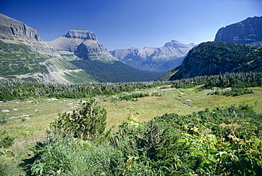 View east from Logan Pass, Glacier National Park, Montana, United States of America (U.S.A.), North America