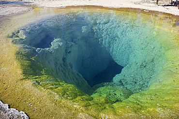 The Morning Glory Pool, Yellowstone National Park, UNESCO World Heritage Site, Wyoming, United States of America, North America