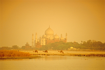 The Taj Mahal, built by the Moghul emperor Shah Jehan (Jahan) seen from across the Jumna (Yamuna) River, Agra, Uttar Pradesh, India