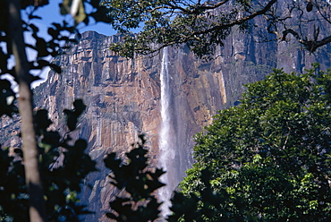 Angel Falls, Canaima National Park, Venezuela, South America 