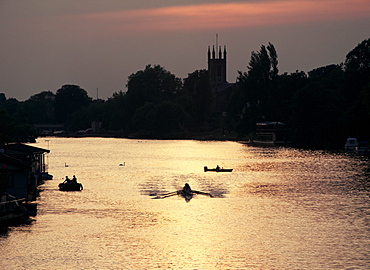 Rowers on River Thames with church tower beyond, Hampton, Greater London, England, United Kingdom, Europe