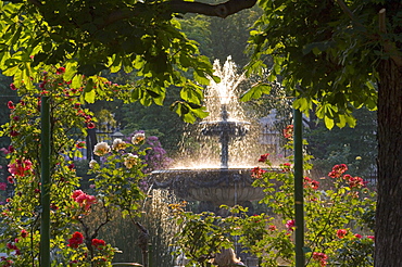 Volksgarten, Hofburg, Vienna, Austria, 