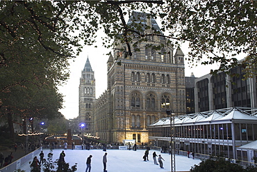 Christmas, Natural History Museum, Kensington, London, England, United Kingdom, Europe