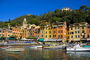 Portofino, Riviera di Levante, Liguria, Italy, Europe