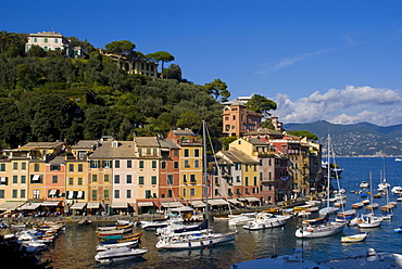 Portofino, Riviera di Levante, Liguria, Italy, Europe