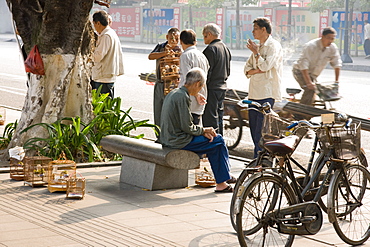 Bird fanciers on city street, Guangzhou (Canton), Guangdong, China, Asia