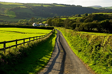 Lane, North Exmoor, Devon, England, United Kingdom, Europe