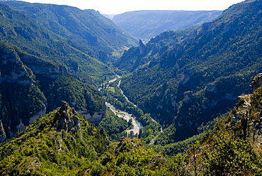 Vew from Point Sublime of the Gorges du Tarn, Massif Central, France, Europe