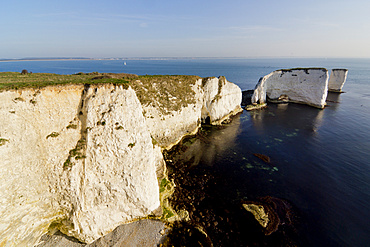 Studland Head, Old Harry Rocks, beginning of the Jurassic Coast, UNESCO World Heritage Site, Dorset, England, United Kingdom, Europe