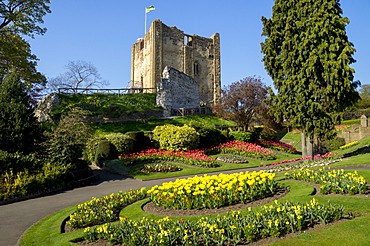 Spring flowers in ornamental beds decorate Guildford Castle, Guildford, Surrey, England, United Kingdom, Europe