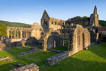 Tintern Abbey ruins, Monmouthshire, Wales, United Kingdom, Europe