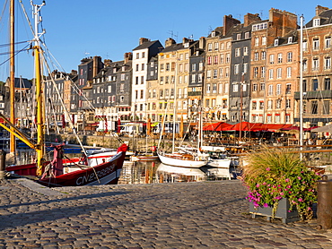 Honfleur old port, Calvados, Normandy, France, Europe