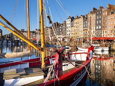 Honfleur old port, Calvados, Normandy, France, Europe