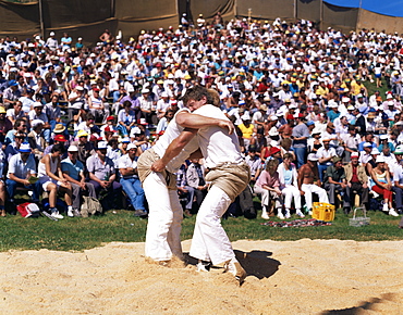 Grosses schiving und alperfest auf rige - staffel, annual wrestling festival, Switzerland, Europe