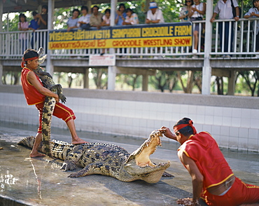 Two men exhibit crocodiles to tourists at a crocodile farm near Bangkok, Thailand, Southeast Asia, Asia