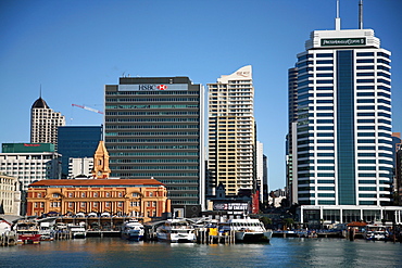 City skyline, Auckland, North Island, New Zealand, Pacific