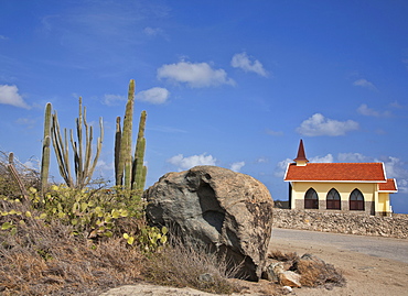 Alto Vista Chapel showing towering Candle Cactus (Stenocereus Griseus) in foreground, Aruba, Dutch Caribbean, Central America